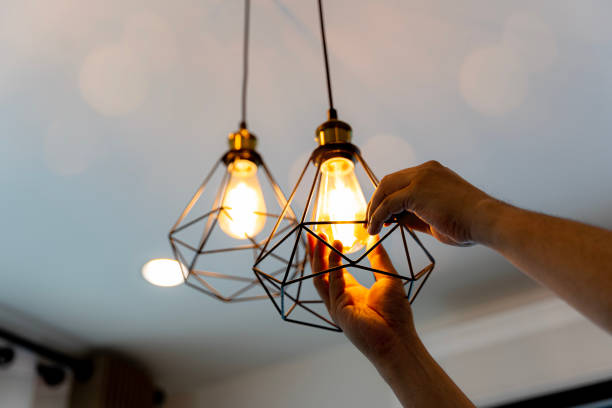 Best Electric Panel Repair  in Starbuck, MN